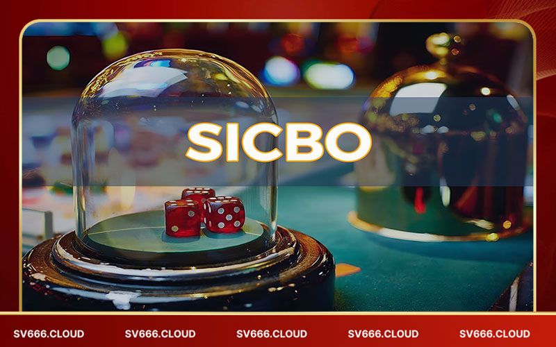 Những cửa cược phổ biến trong sicbo tại Sv66 Những cửa cược phổ biến trong sicbo tại Sv66